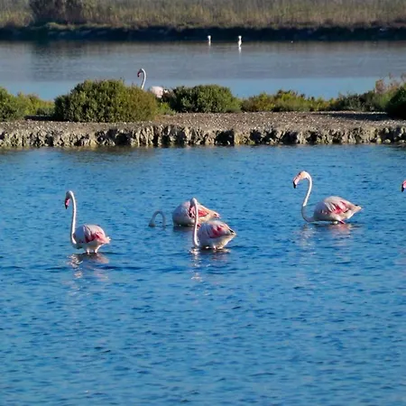 Mar 4 En Santa Pola